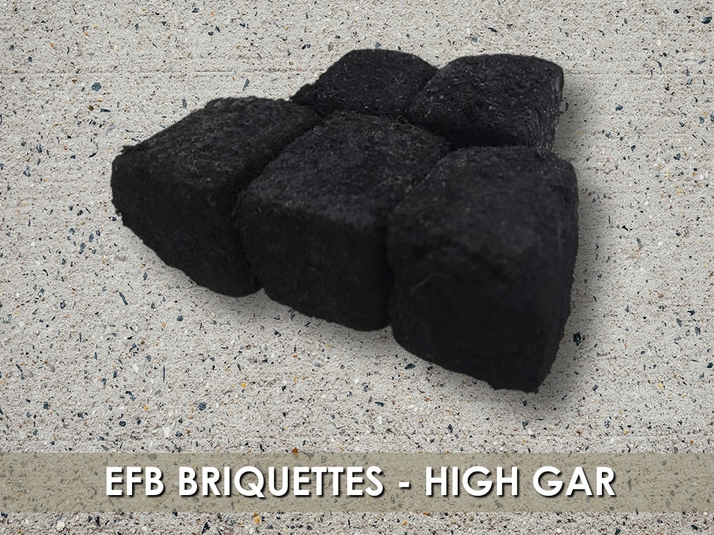 EFB Briquettes High GAR_new 15 Feb 2025