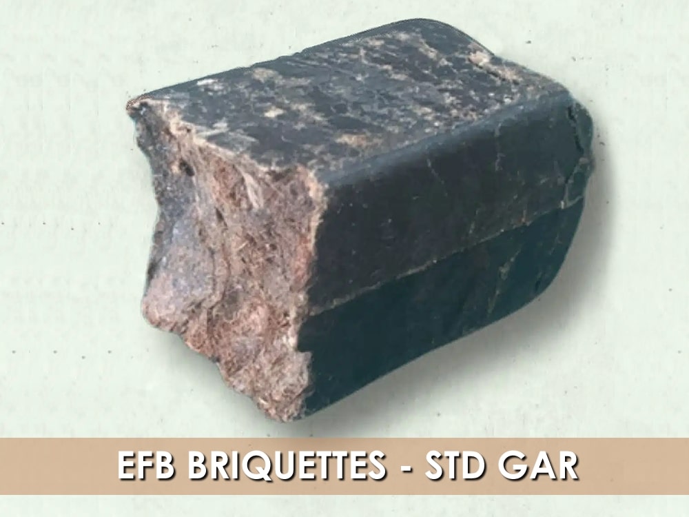 EFG BRIQUETTES - STD GAR